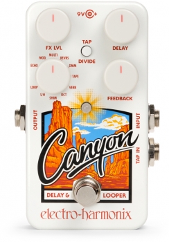 <font color=FF0000><b>DEALER SPECIAL </B></FONT>Canyon Delay & Looper